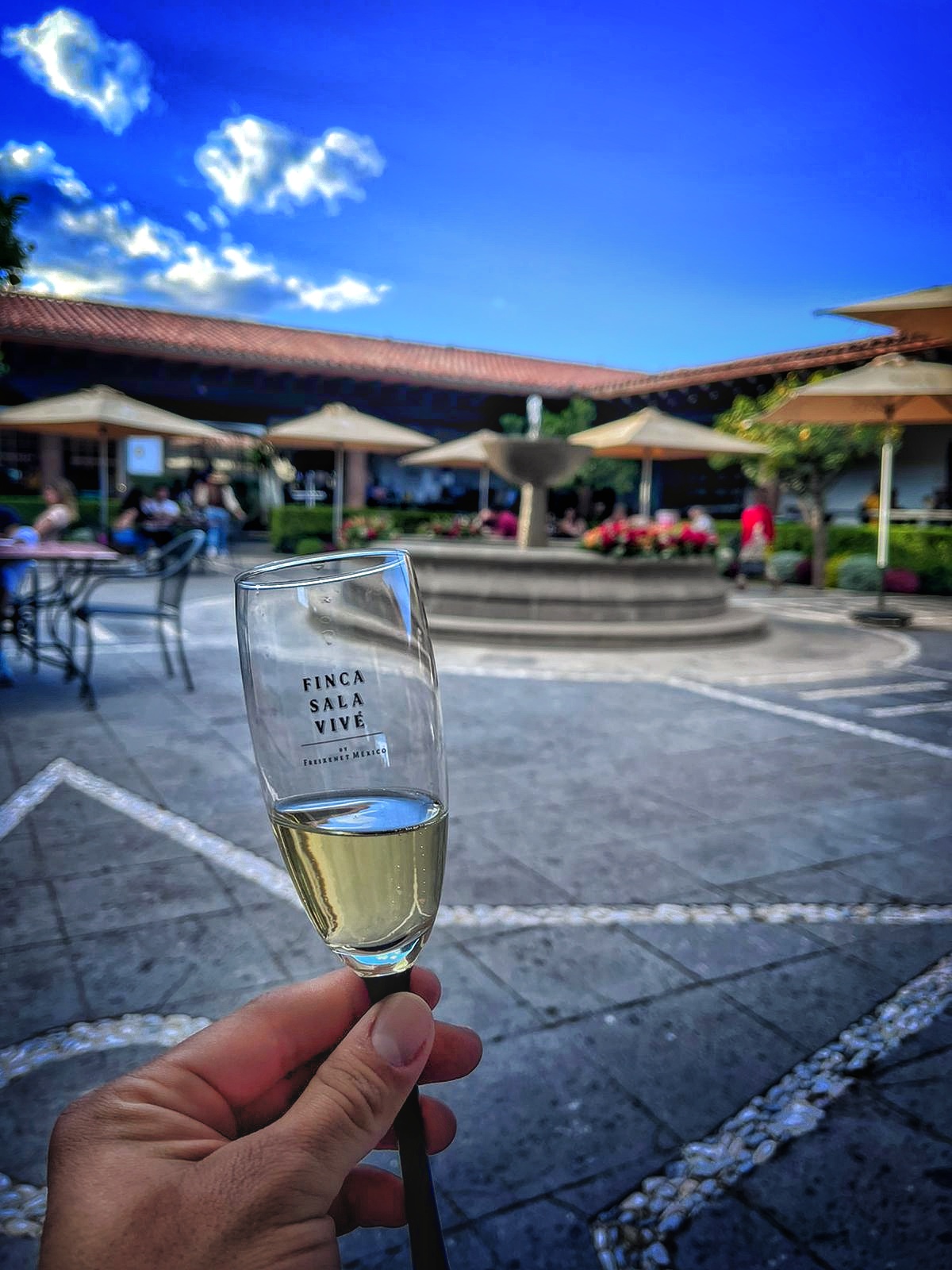 Copa de vino en Finca Sala Vivé